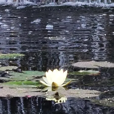 Estudio Espectacular Vista Mar Apartamento Morro Jable (Fuerteventura)