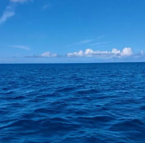 Estudio Espectacular Vista Mar