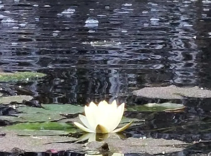 Estudio Espectacular Vista Mar Lejlighed Morro Jable (Fuerteventura)