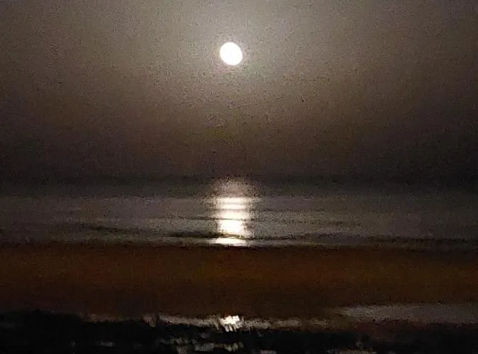 Lejlighed Estudio Espectacular Vista Mar *